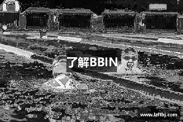 了解BBIN